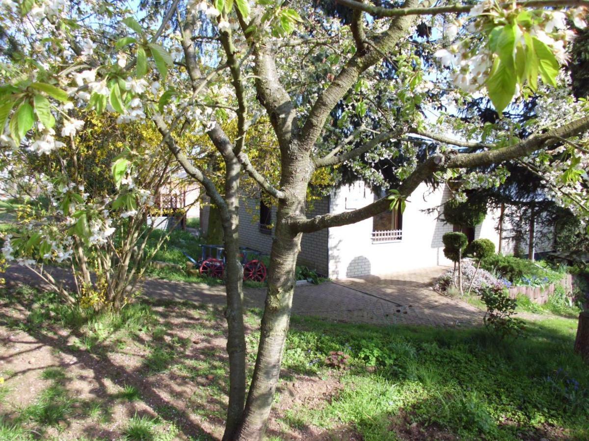 Ferienhaus Santo Villa Nordhausen Exterior foto